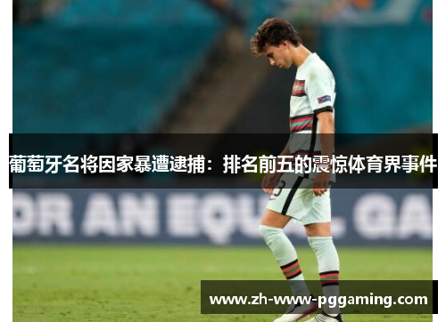 葡萄牙名将因家暴遭逮捕:排名前五的震惊体育界事件 葡萄牙名将因家暴遭逮捕:排名前五的震惊体育界事件