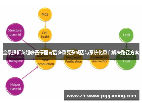 全景探析英超联赛停摆背后多重复杂成因与系统化重启解决路径方案 全景探析英超联赛停摆背后多重复杂成因与系统化重启解决路径方案