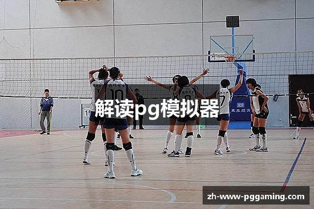 解读pg模拟器